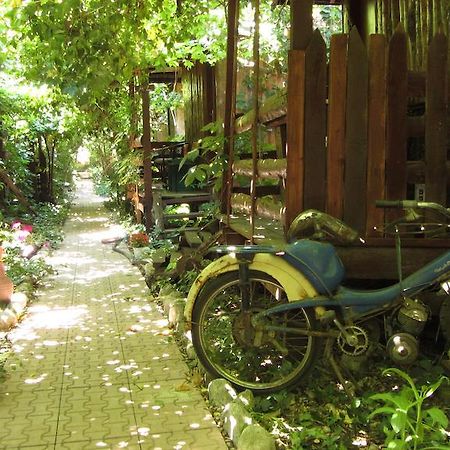 Olympos Natural Pansiyon エクステリア 写真