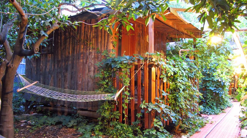 Olympos Natural Pansiyon 部屋 写真