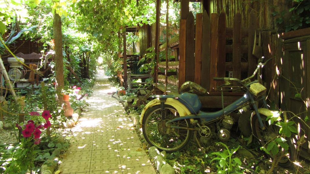 Olympos Natural Pansiyon エクステリア 写真