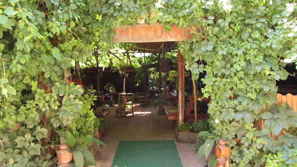 Olympos Natural Pansiyon エクステリア 写真