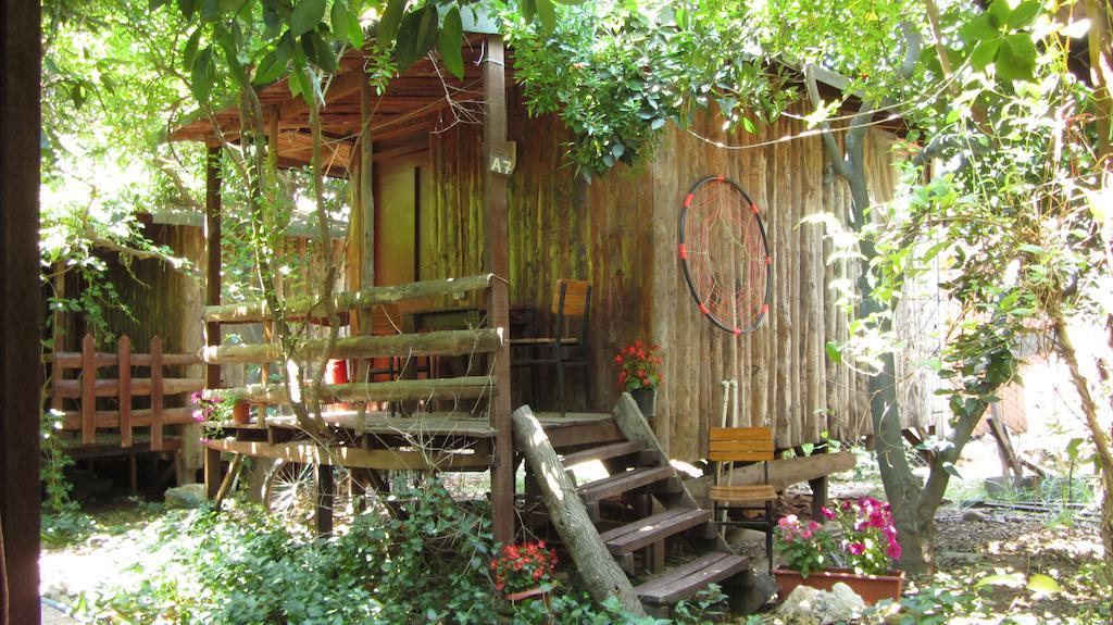 Olympos Natural Pansiyon エクステリア 写真